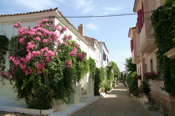 Çevre Gezileri