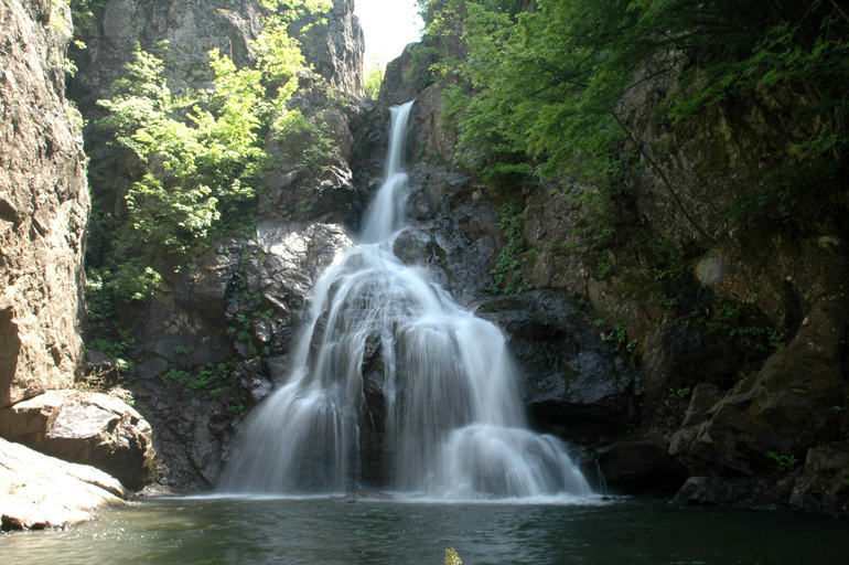 Çevre Gezileri
